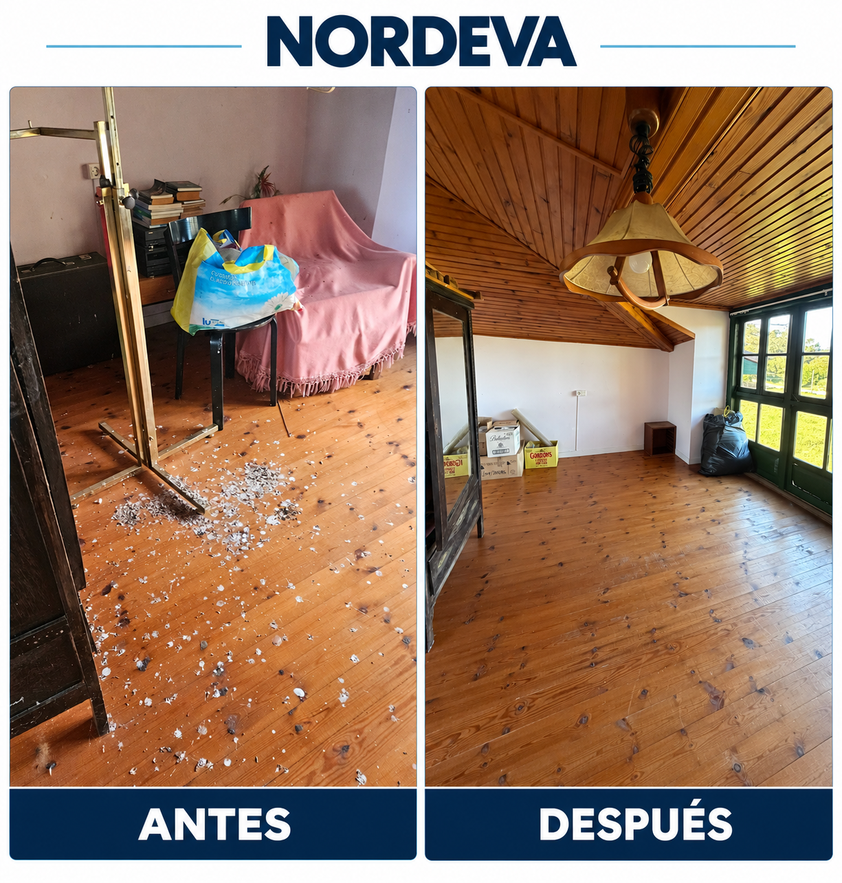 Foto del trabajo: Limpieza  profunda, 7